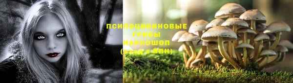 альфа пвп Медногорск