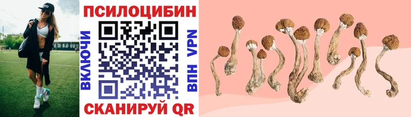 Галлюциногенные грибы Psilocybine cubensis  Купить где  Кедровый 